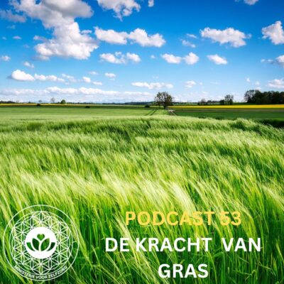 Podcast 53: De kracht van gras